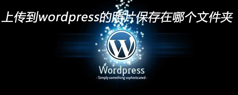 上传到wordpress的照片保存在哪个文件夹-小浪学习网