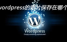 上传到wordpress的照片保存在哪个文件夹