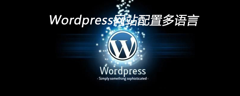 Wordpress网站配置多语言