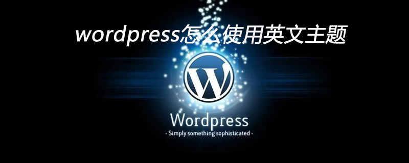 wordpress怎么使用英文主題-小浪學習網