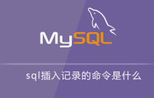 sql插入记录的命令是什么