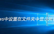 windows中设置在文件夹中显示所有文件