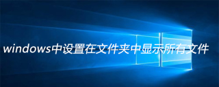 windows中设置在文件夹中显示所有文件