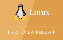 linux下怎么查看哪些端口被占用