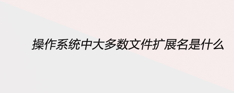 操作系统中大多数文件扩展名表示什么