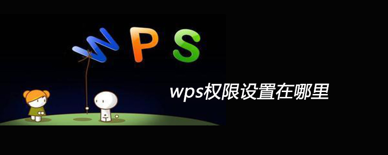 wps权限设置在哪里