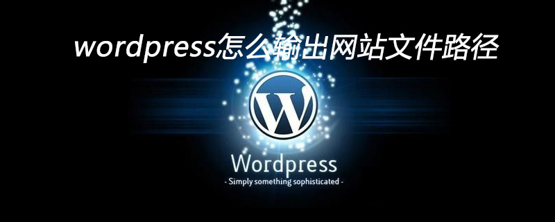 wordpress怎么輸出網站文件路徑-小浪學習網