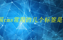 帝国cms常用的几个标签是什么
