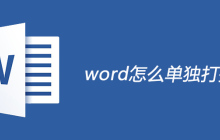 word怎么单独打拼音