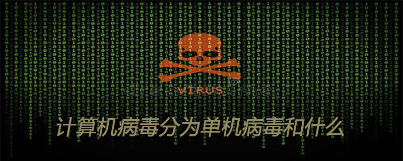 计算机病毒分为单机病毒和什么