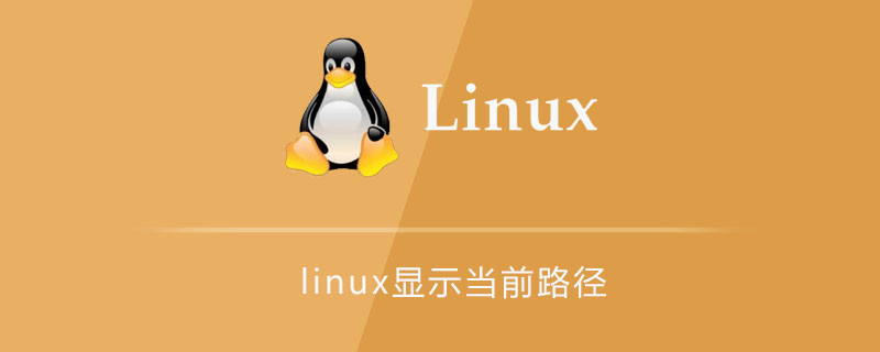 linux displays current path