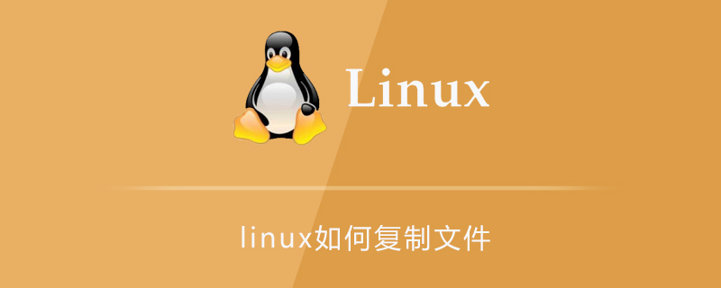 linux如何复制文件-小浪学习网