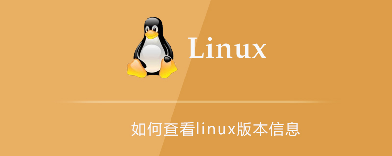 如何查看linux版本信息