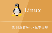如何查看linux版本信息