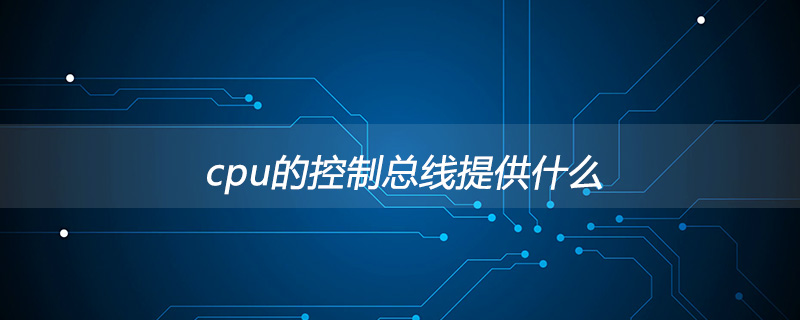 cpu的控制总线提供什么