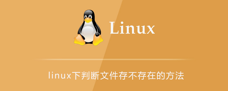 linux下判断文件存不存在的方法