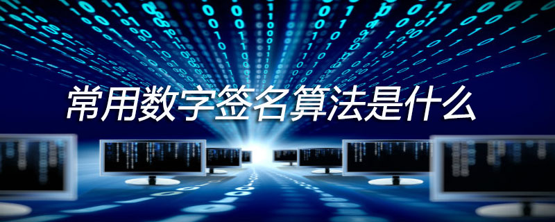 常用数字签名算法是什么