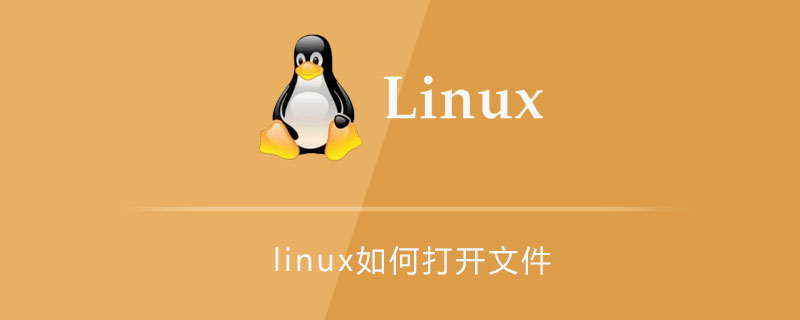 How to open a file in linux