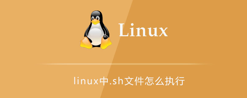 linux中.sh文件怎么執(zhí)行-小浪學(xué)習(xí)網(wǎng)