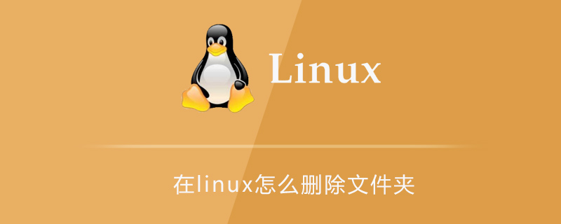 在linux怎么刪除文件夾-小浪學習網