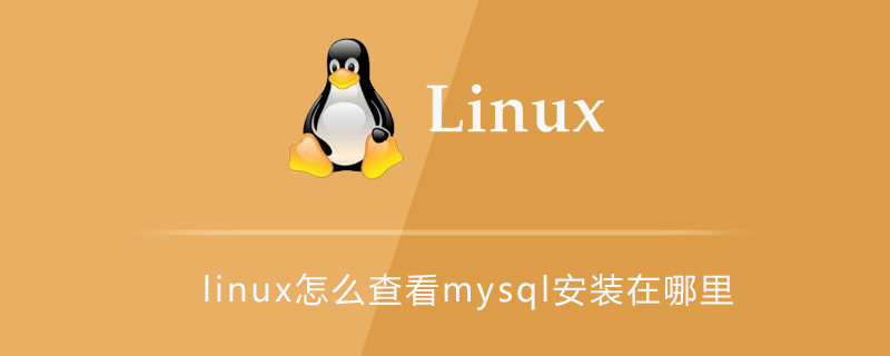linux怎么查看mysql安装在哪里