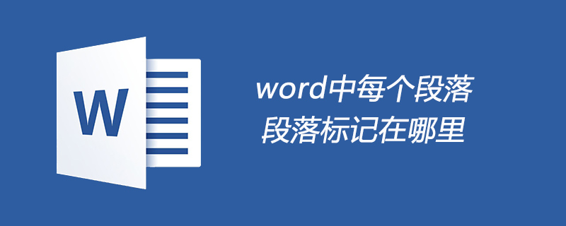 word中每個段落的段落標記在哪里-小浪學習網(wǎng)