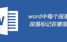 word中每个段落的段落标记在哪里