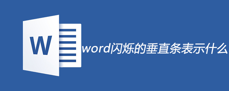 word閃爍的垂直條表示什么-小浪學習網