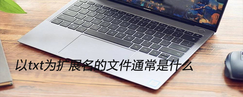 以txt为扩展名的文件通常是什么