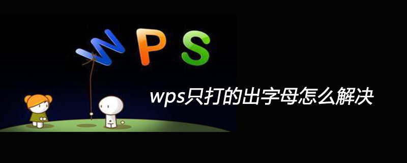 wps只打的出字母怎么解決-小浪學(xué)習(xí)網(wǎng)