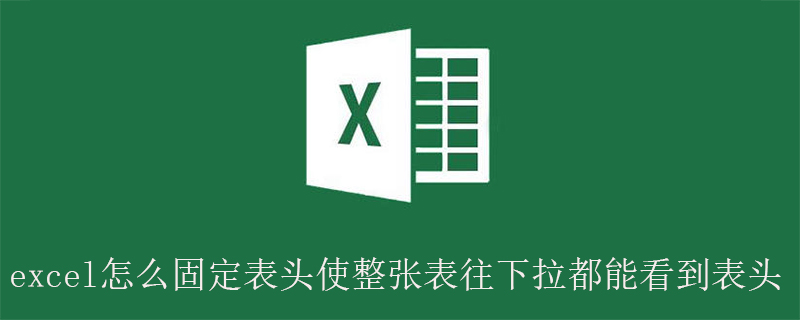 excel怎么固定表頭使整張表往下拉都能看到表頭-小浪學(xué)習(xí)網(wǎng)