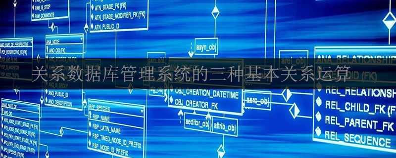 관계형 데이터베이스 관리 시스템이 구현할 수 있는 세 가지 기본 관계 작업은 무엇입니까?