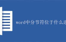 word中分节符位于什么选项下？