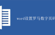 word设置罗马数字页码的方法