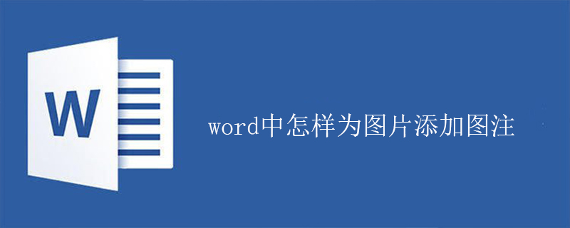 word中怎樣為圖片添加圖注-小浪學習網