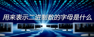 用来表示二进制数的字母是什么