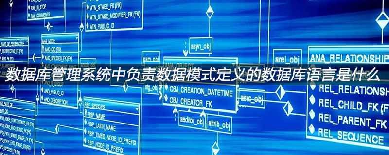 数据库管理系统中负责数据模式定义的数据库语言是什么