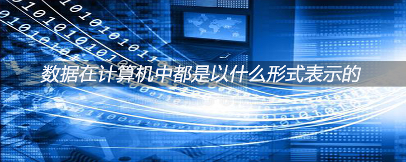数据在计算机中都是以什么形式表示的