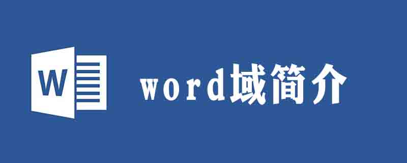 在word中何為域-小浪學(xué)習(xí)網(wǎng)