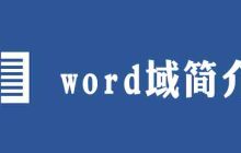 在word中何为域