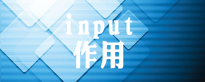 input语句的作用
