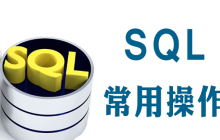 数据库的最核心也是最常用的操作是什么