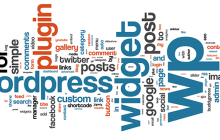 怎么用wordpress