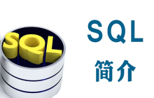 sql语言是什么语言