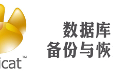 navicat库复制怎么实现的