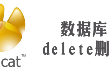 navicat怎么删除符合条件数据