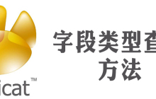 navicat怎么查看数据类型