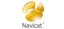 What is the navicat connection name?