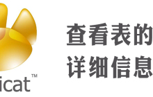 navicat怎么看表信息