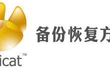 怎么恢复navicat删除的表